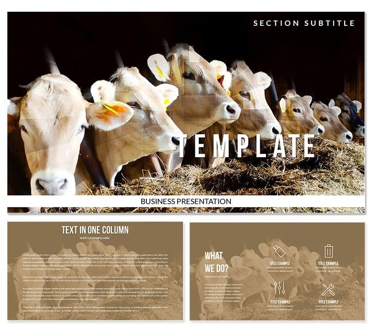 Cattle Keynote templates, Presentation Themes