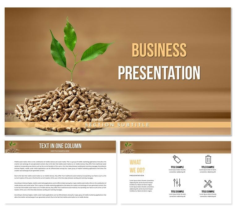 Energy From Biomass and Waste Keynote Templates