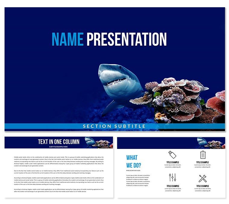 Shark Conservation Keynote Template - Download Presentation