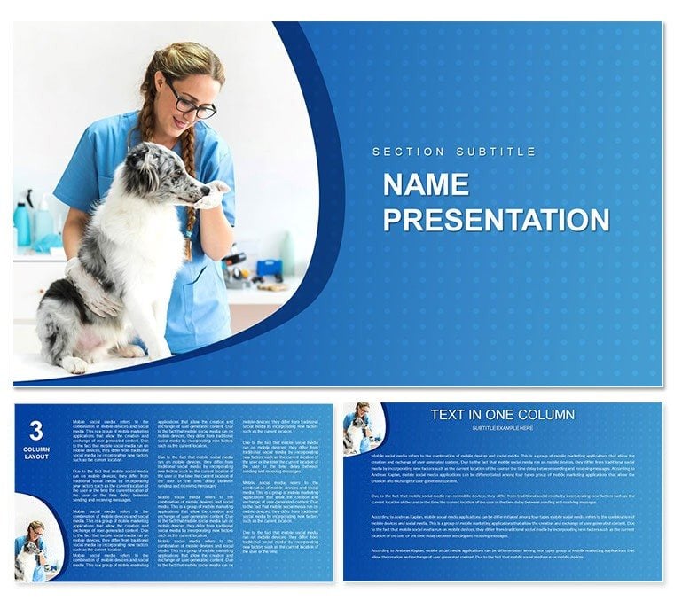 Treatment Of Animals In Veterinary Clinic Keynote Template