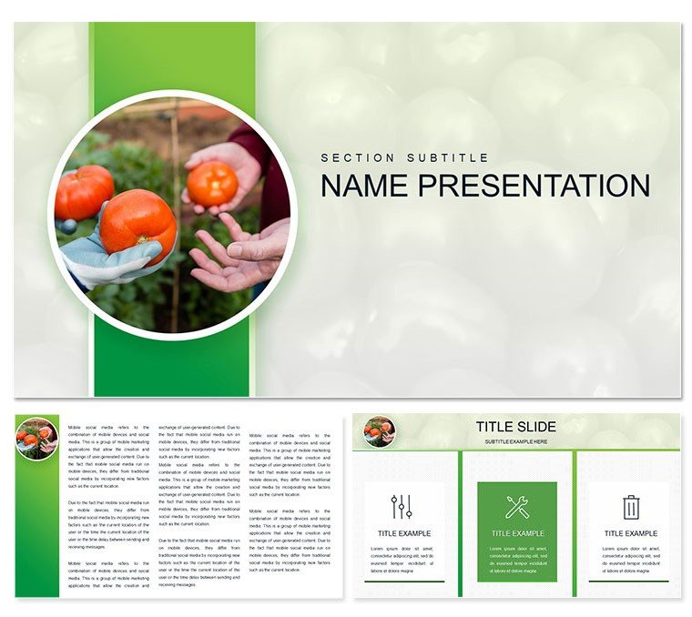 Growing Tomatoes Keynote template Presentation