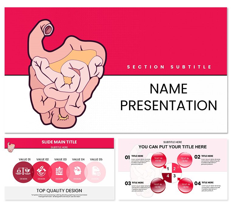 Small Intestine Keynote template for presentation