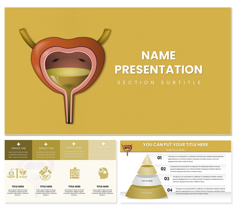 Urinary System Keynote template for presentation