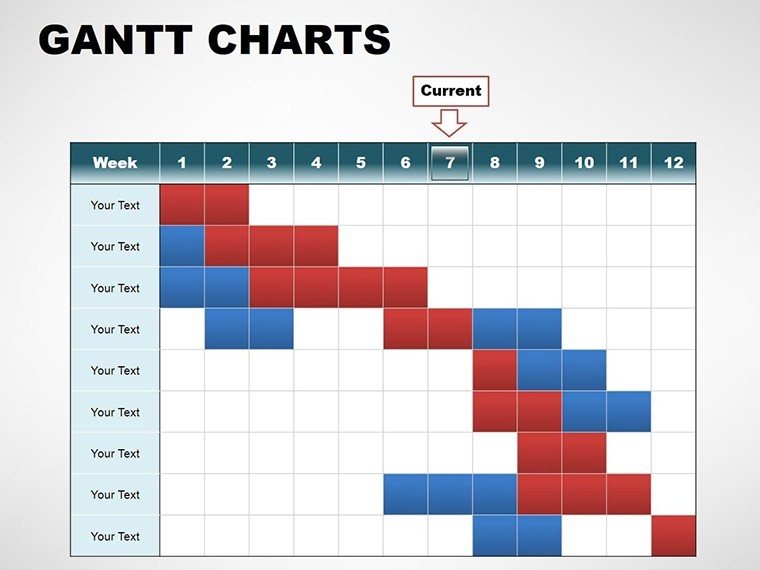 Gantt PowerPoint Charts Template Download | Professional Presentation ...