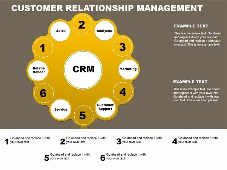 Customer Relationship Management PowerPoint Charts