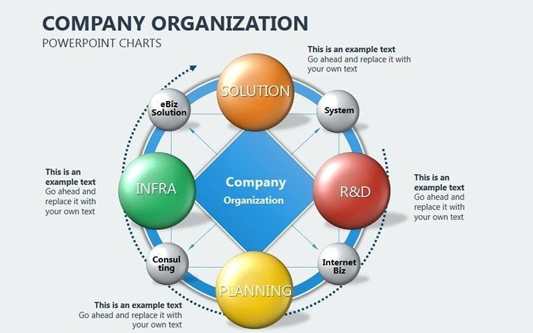 Company Organization PowerPoint charts