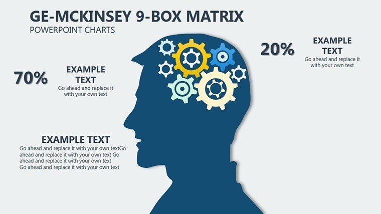 GE McKinsey Matrix PowerPoint Charts Templates