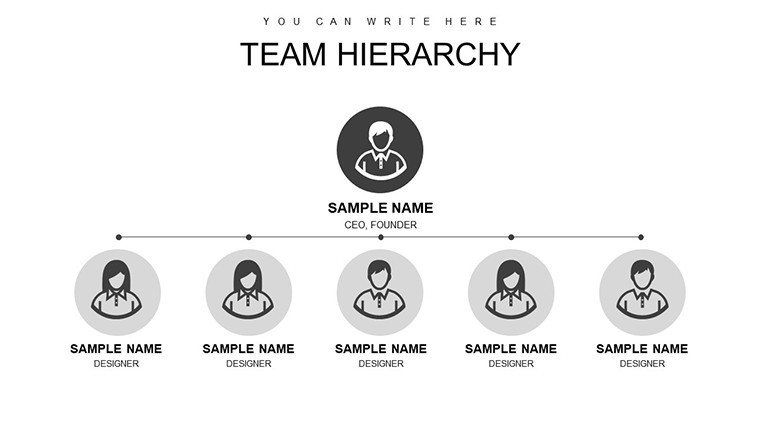 Hierarchy Organizational Structure PowerPoint charts