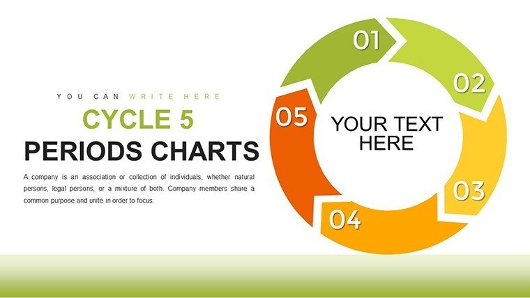 Cycle - 5 Periods PowerPoint charts