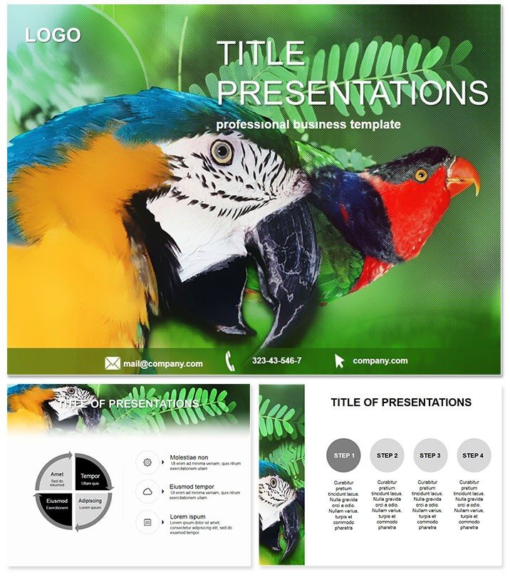 Cockatoo Parrot PowerPoint templates