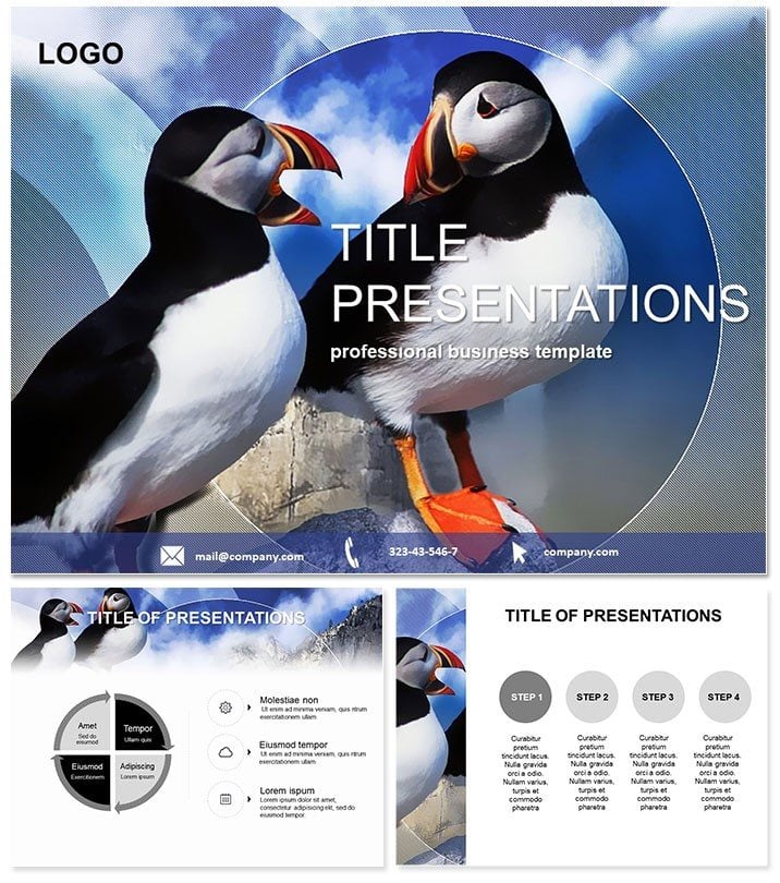 Strange birds PowerPoint template ImagineLayout com