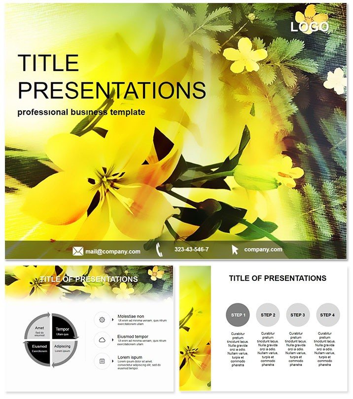 Yellow flowers as a gift PowerPoint templates