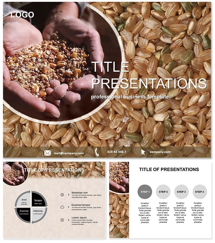 Grain Harvest PowerPoint templates