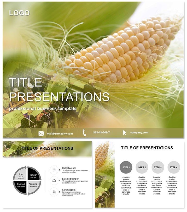 Corn Production PowerPoint templates