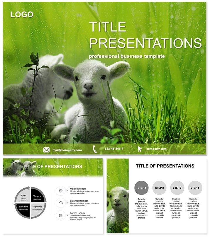 Lamb on Pasture PowerPoint Templates