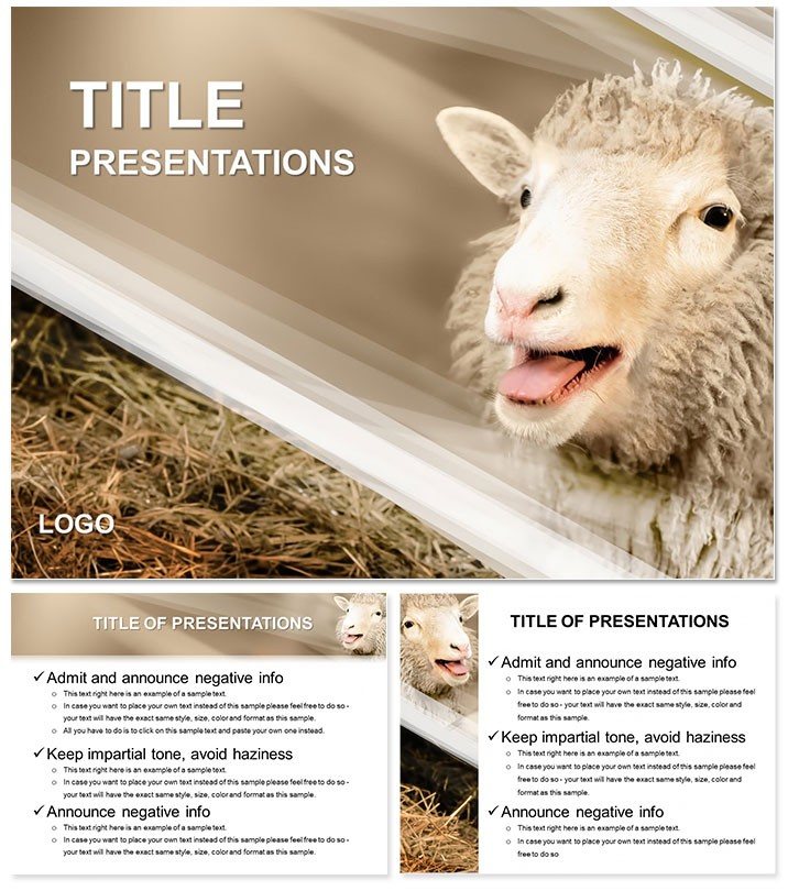 Sheep Breeding PowerPoint Templates