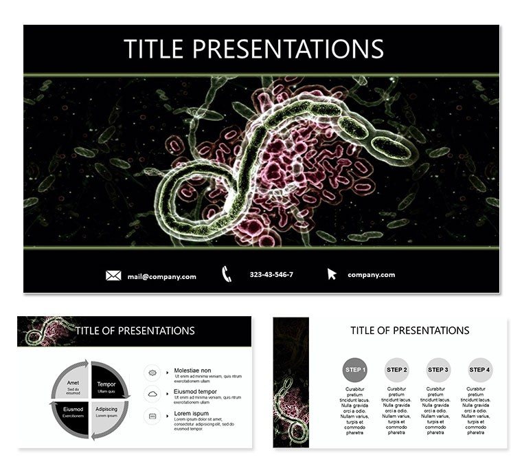 Ebola Symptoms PowerPoint templates