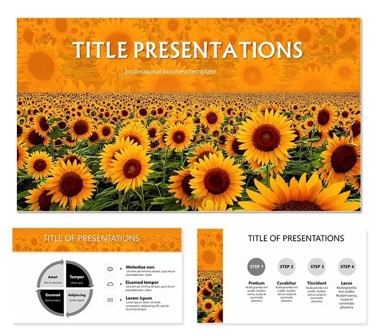 Field of Sunflowers PowerPoint templates