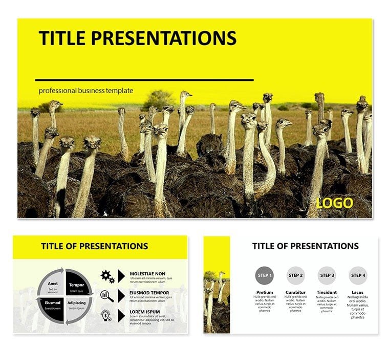 Ostrich Farm PowerPoint Template - Professional Presentation Themes