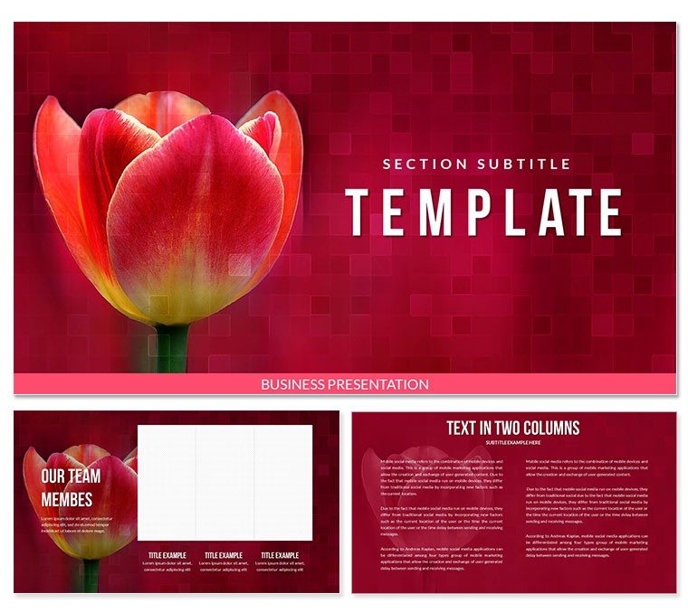 Tulip Bulbs for Sale PowerPoint templates