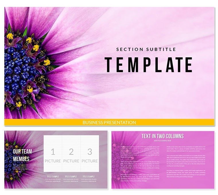 Flower Close Up PowerPoint templates
