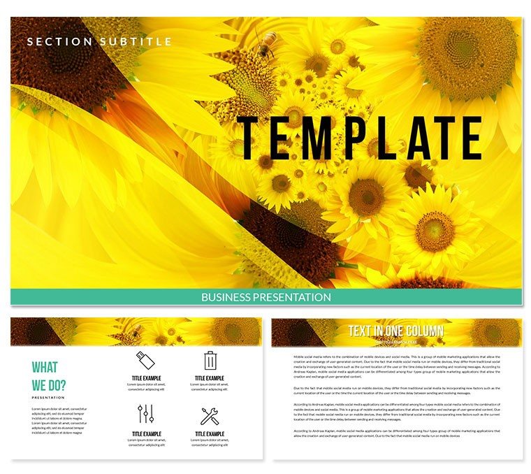 Sunflower Plant PowerPoint templates