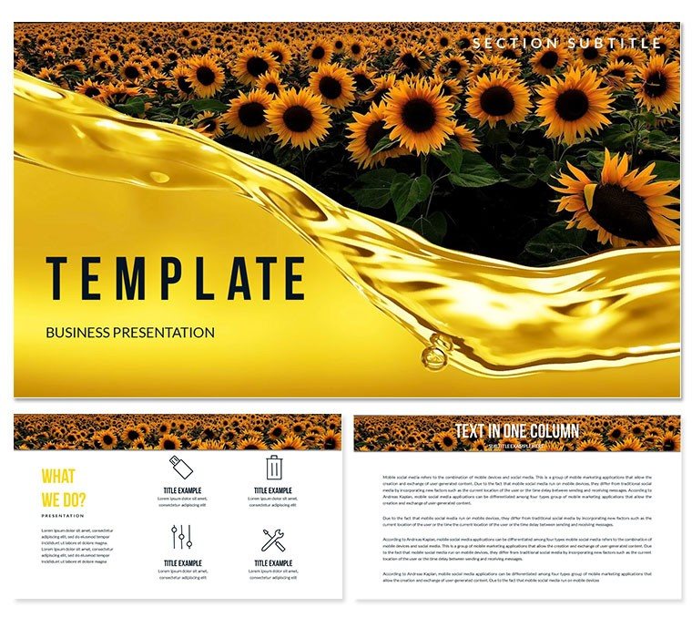Sunflower Oil Production PowerPoint templates