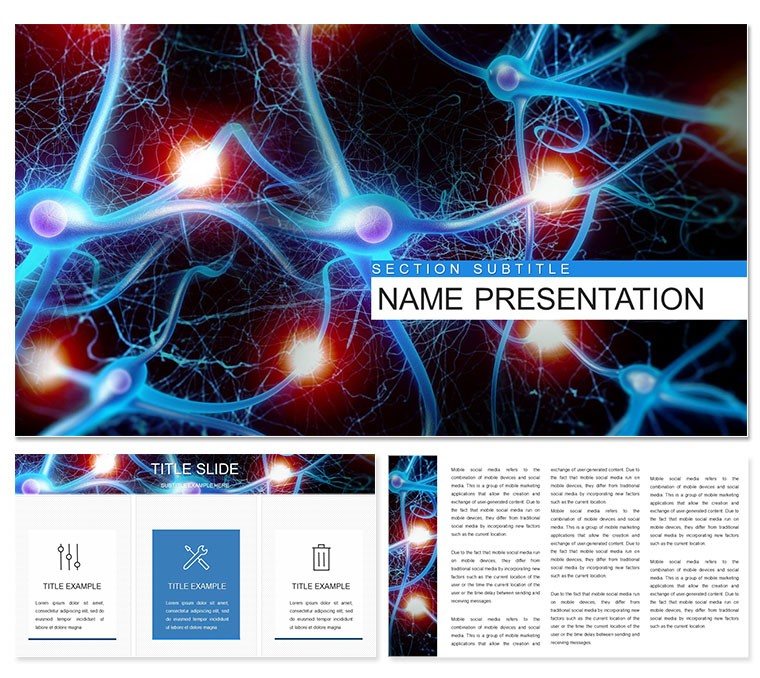 Nervous System Anatomy and Physiology PowerPoint template