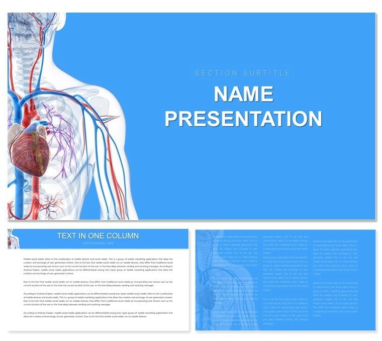 Cardiovascular System PowerPoint template