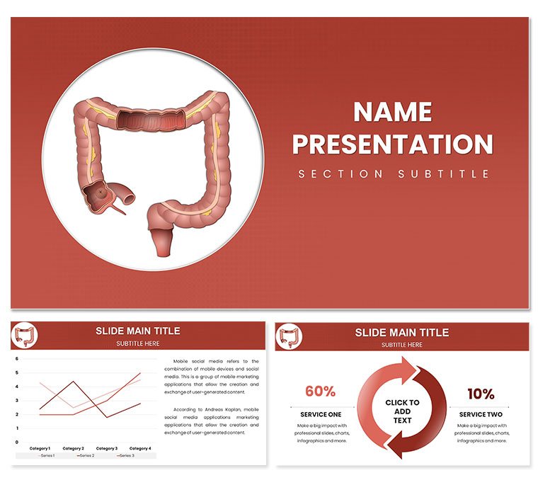 Large Intestine PowerPoint template for presentation
