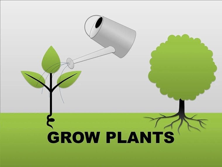 Grow Plants PowerPoint shapes
