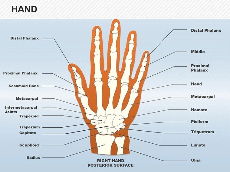 Hand Medicine PowerPoint shapes - Templates Presentation